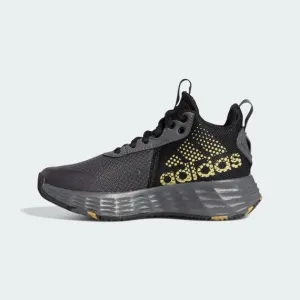 Adidas Ownthegame 2.0 Men Basketball Shoes Grey