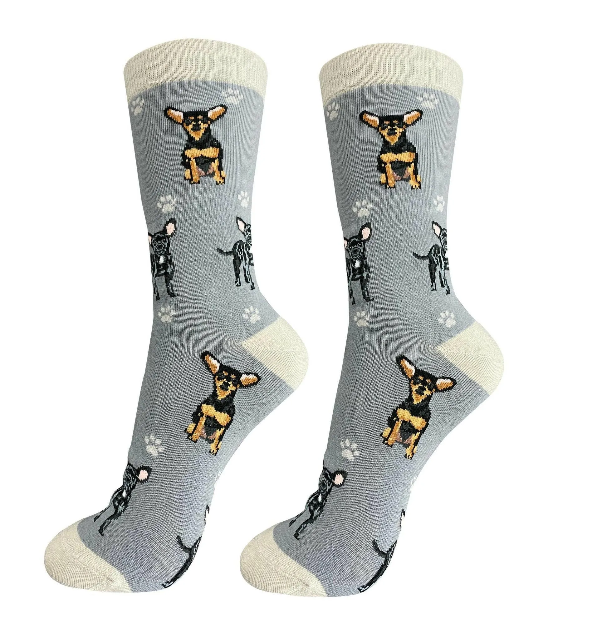 Chihuahua Black Socks-Full Body