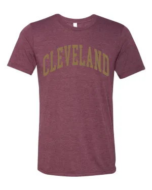 "Cleveland Block Gold" Basketball on Maroon